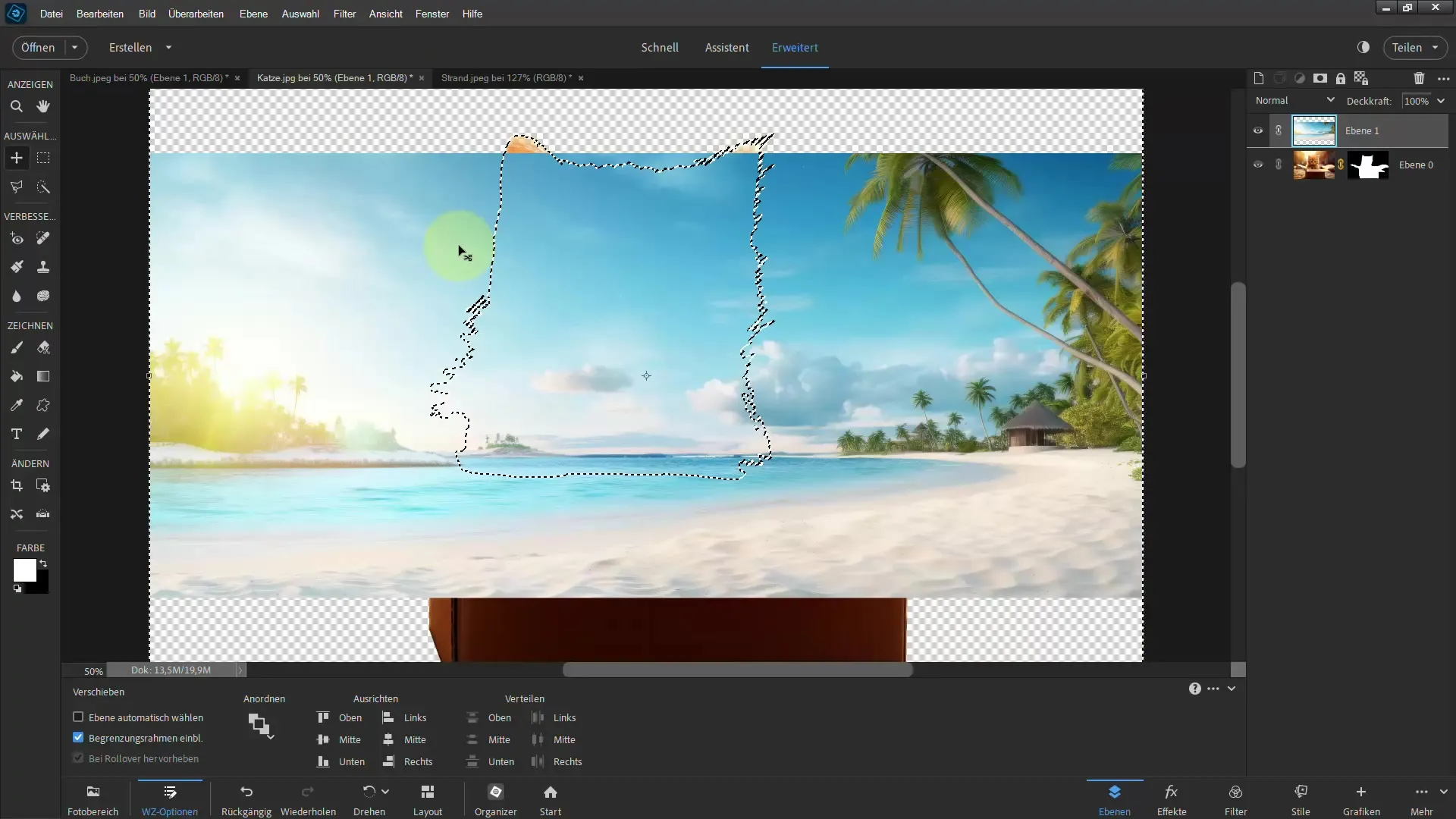 Frigjøre med Photoshop Elements: Oppnå imponerende resultater med polygonal lasso