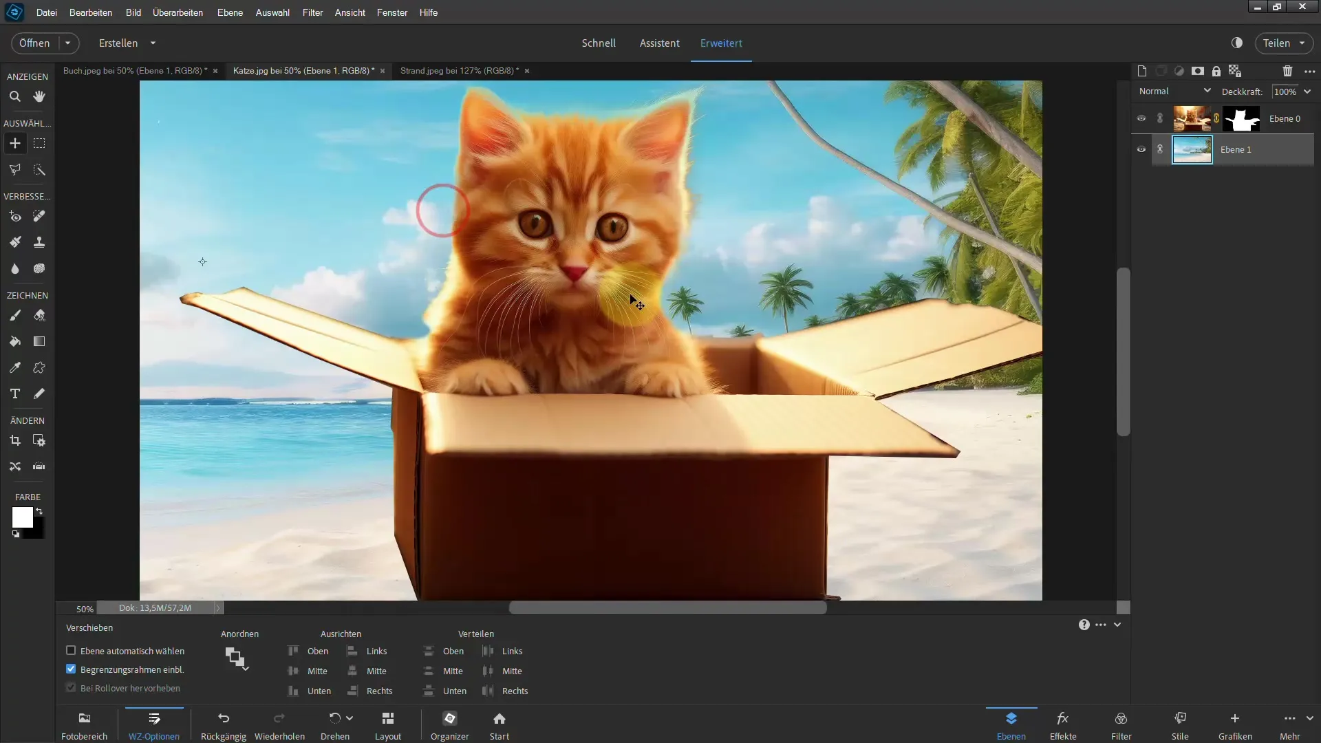 Frigjøring med Photoshop Elements: Oppnå imponerende resultater med polygon lasso