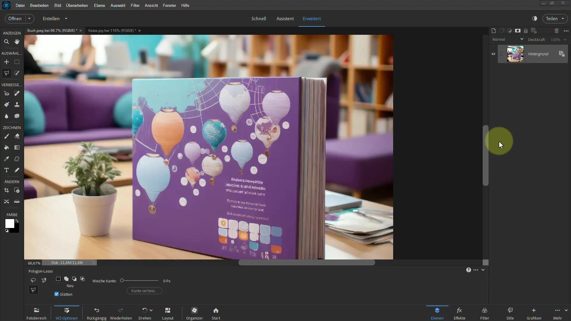 Frigjøring med Photoshop Elements: Med polygon-lasso til imponerende resultater
