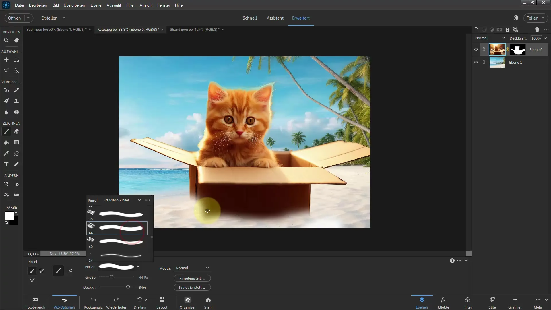 Frigjøring med Photoshop Elements: Med polygon-lasoen til imponerende resultater