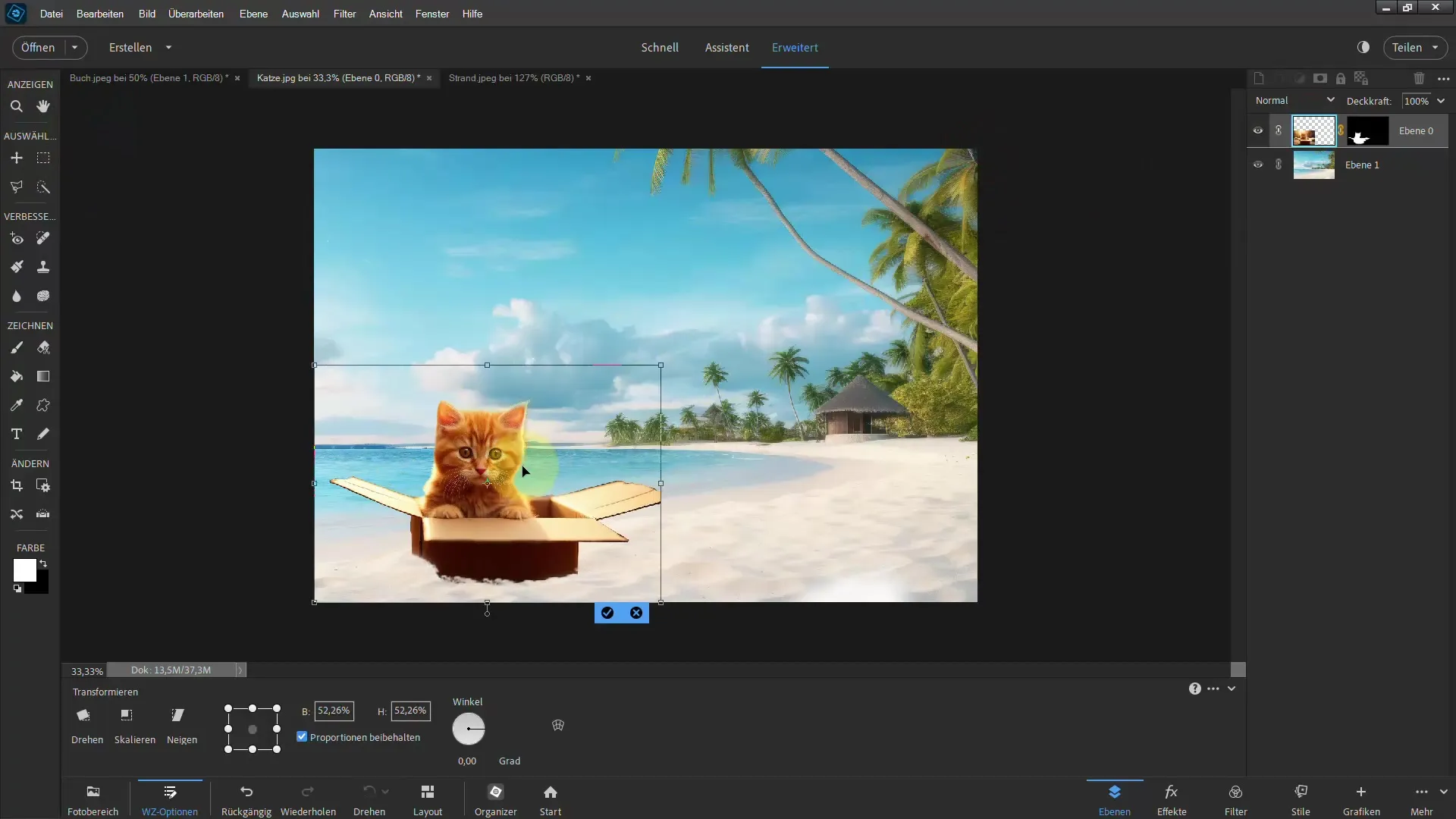 Frilag med Photoshop Elements: Oppnå imponerende resultater med det polygonale lassoet