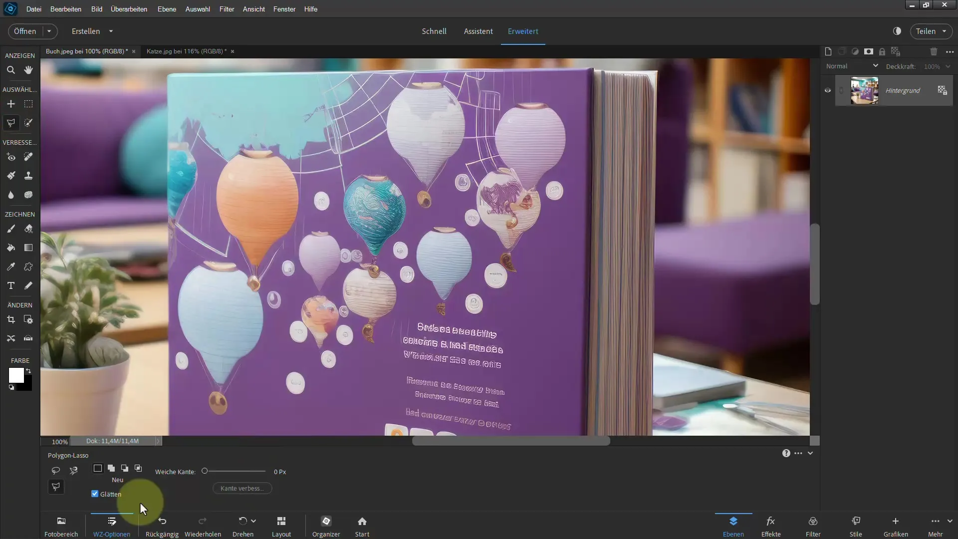 Frigjøring med Photoshop Elements: Oppnå imponerende resultater med Polygon-Lasso