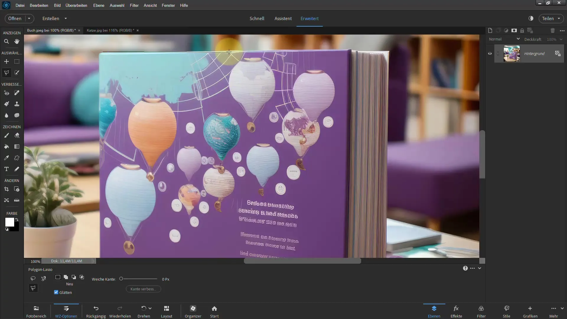 Frigjøring med Photoshop Elements: Med polygon lasso til imponerende resultater