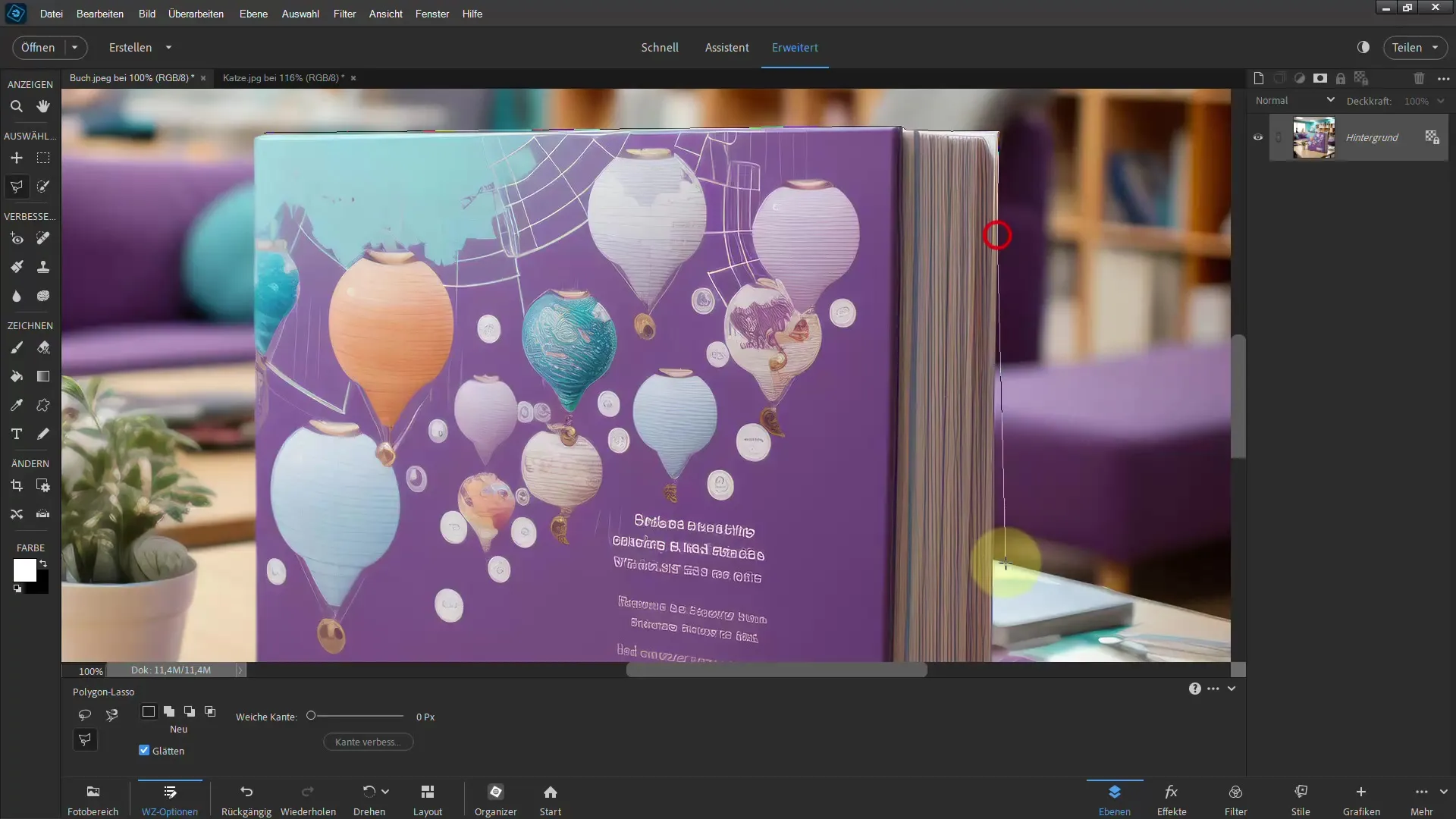 Frigjør med Photoshop Elements: Oppnå imponerende resultater med det polygonale lassoverktøyet