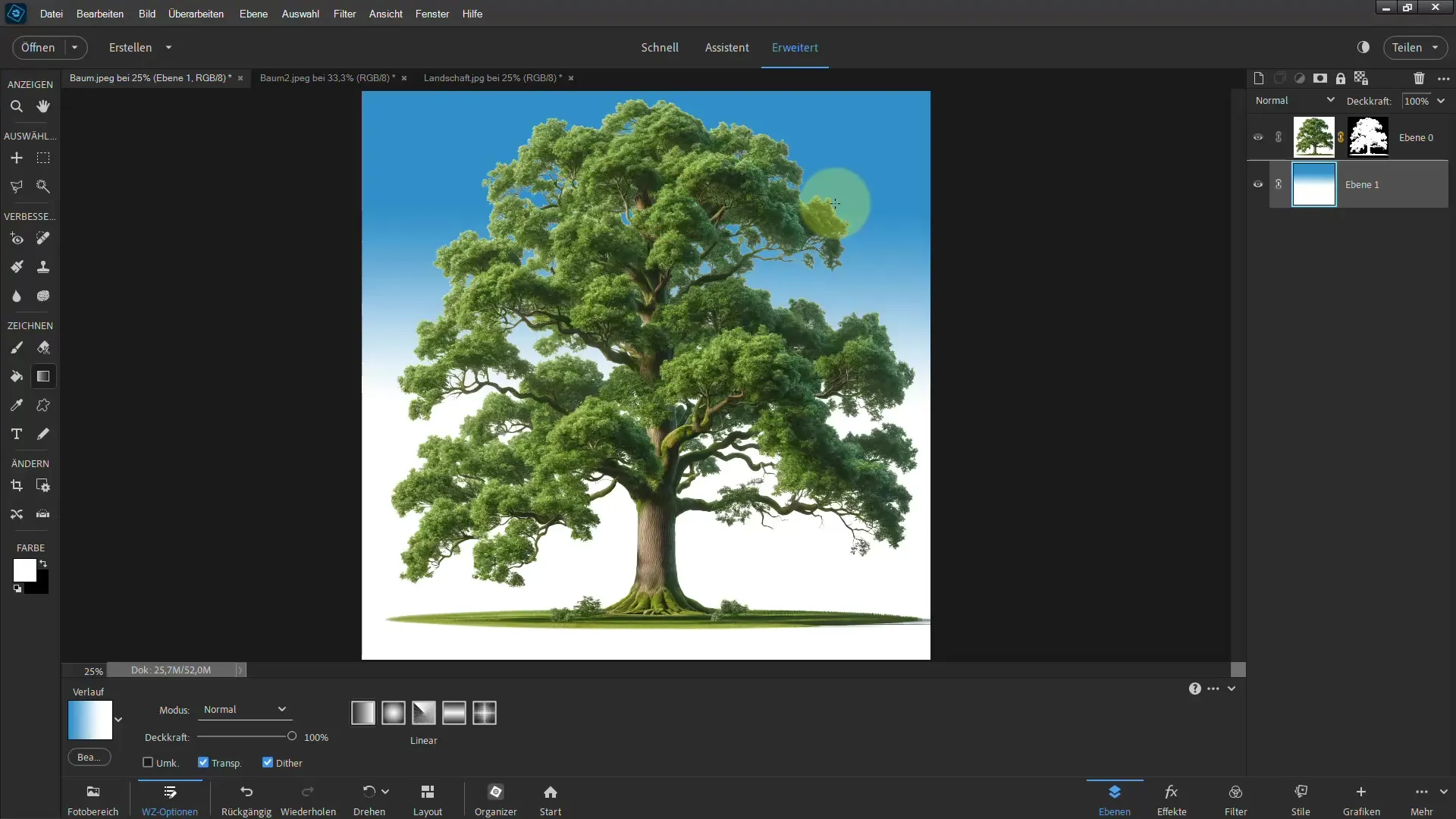Frigjøring gjort enkelt - Ultimate veiledning for trær i Photoshop Elements