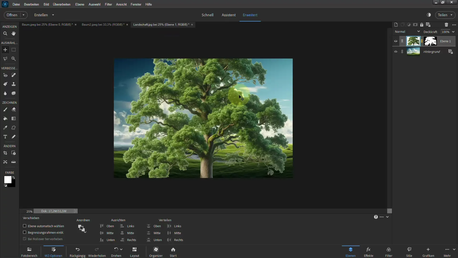 Frigjøring enkelt gjort - Ultimate guide for trær i Photoshop Elements