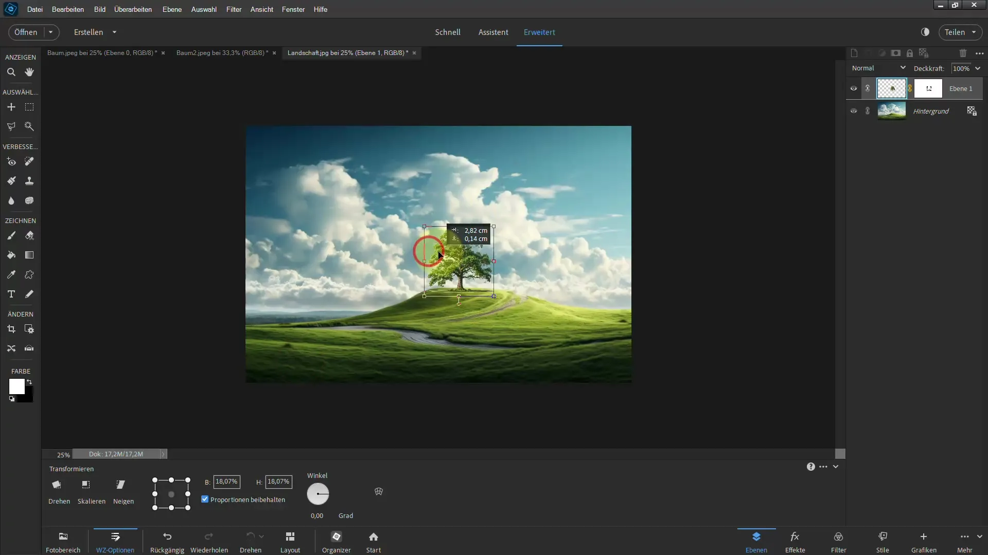 Frigjøring gjort enkelt - Ultimate guide for trær i Photoshop Elements