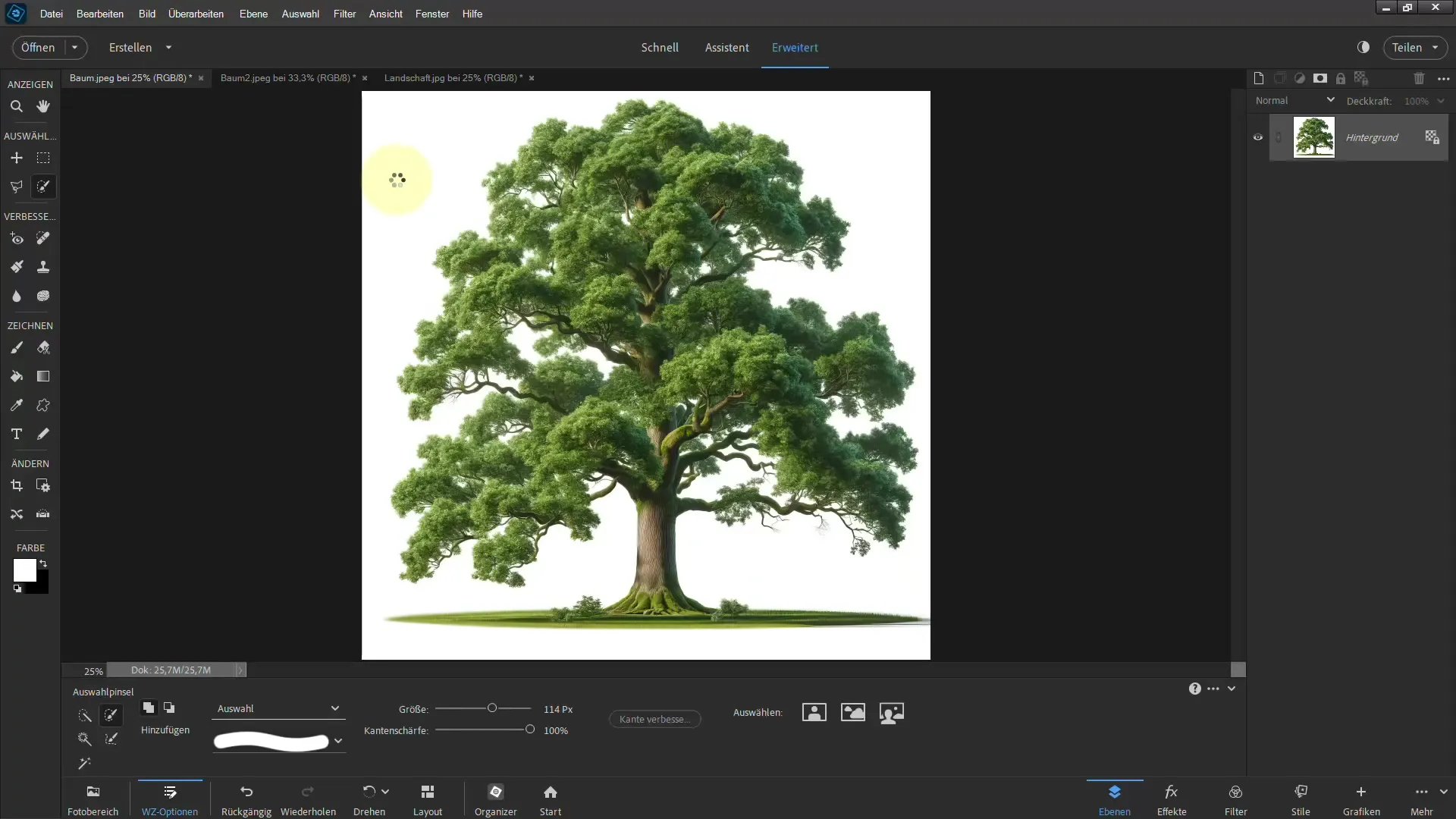 Frihåndstegning gjort enkelt - Ultimat guide for trær i Photoshop Elements