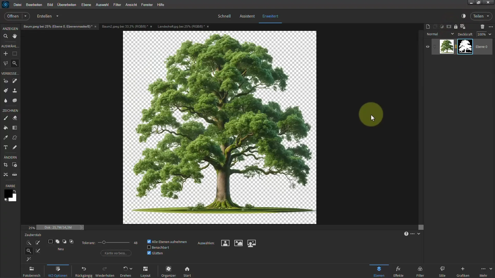 Frigjøring gjort enkelt - Ultimat veiledning for trær i Photoshop Elements