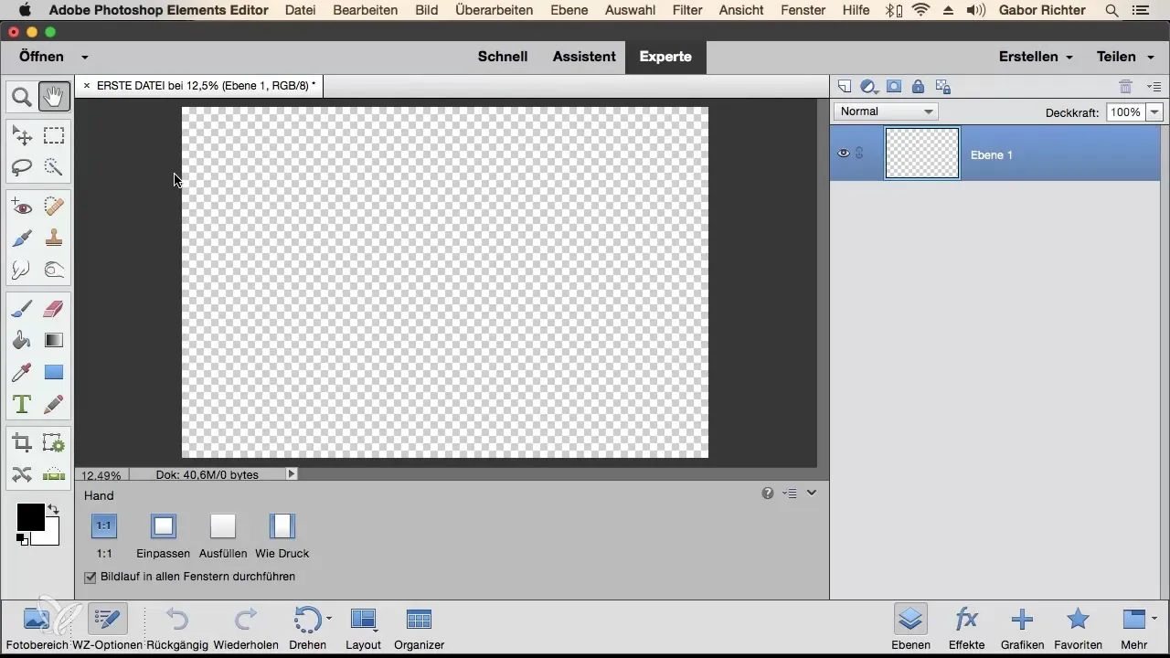 Überblick über Werkzeuge in Photoshop Elements Überblick über Werkzeuge in Photoshop Elements