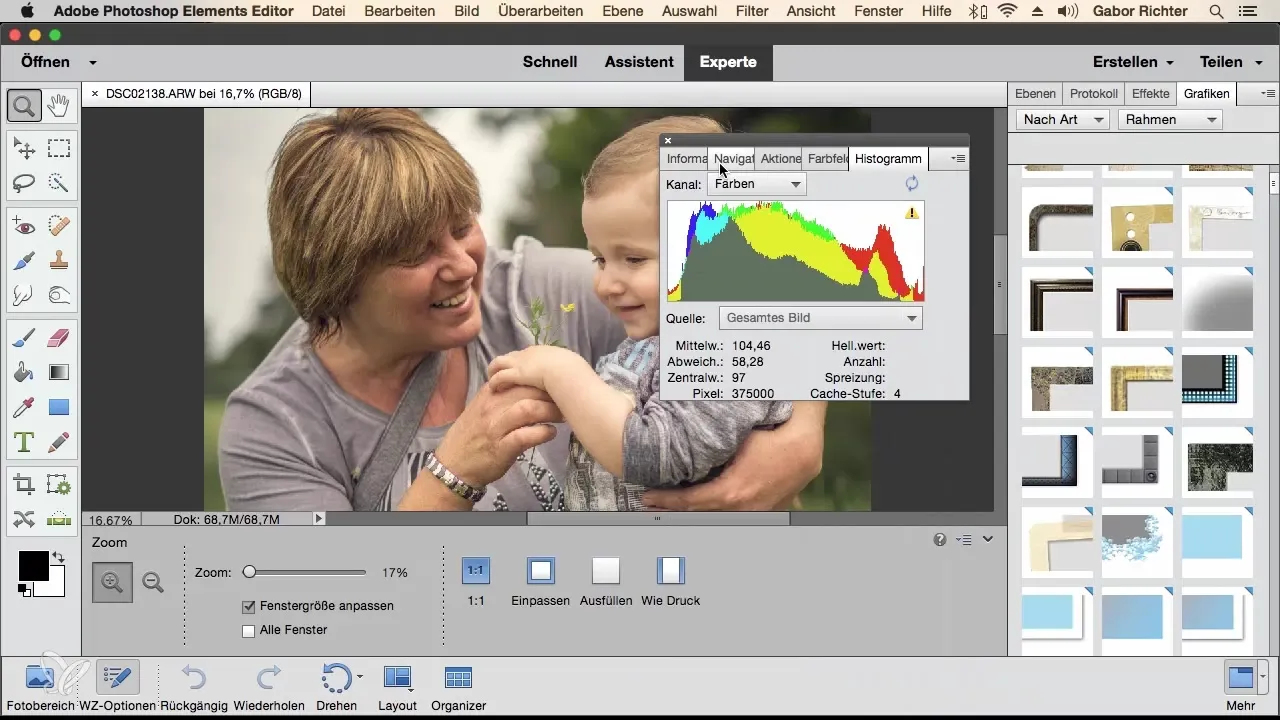 Effizienzsteigerung durch individuelle Arbeitsbereiche in Photoshop Elements