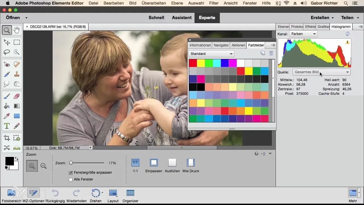 Effizienzsteigerung durch individuelle Arbeitsbereiche in Photoshop Elements