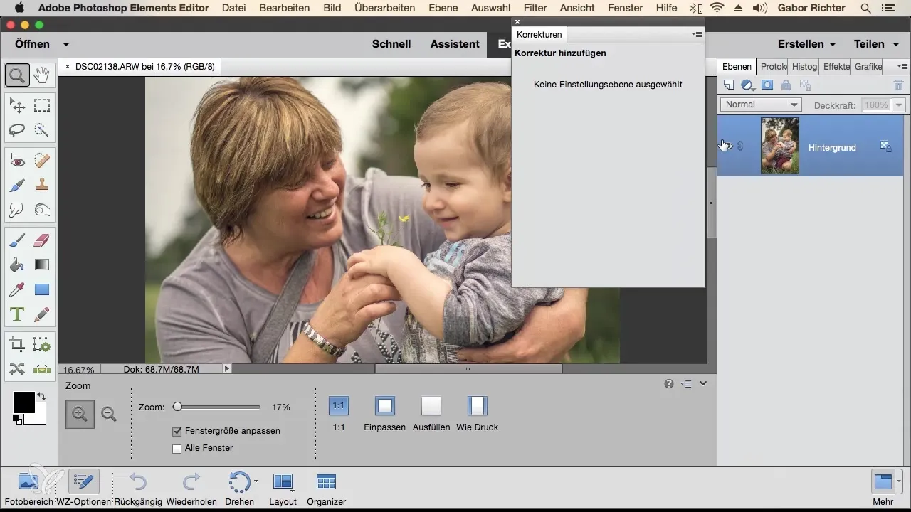 Effizienzsteigerung durch individuelle Arbeitsbereiche in Photoshop Elements