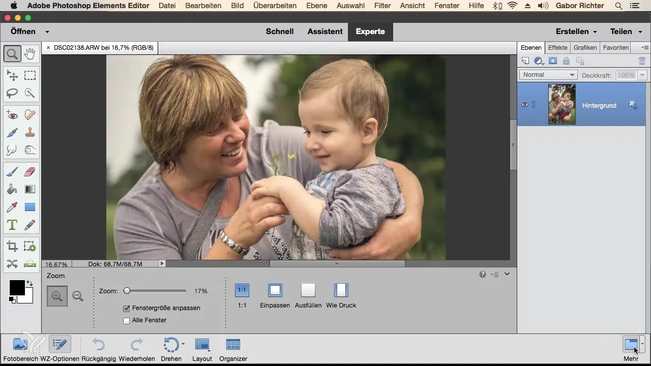 Photoshop Elements'ta bireysel çalışma alanları ile verimlilik artışı Photoshop Elements'te bireysel çalışma alanları ile verimlilik artırma