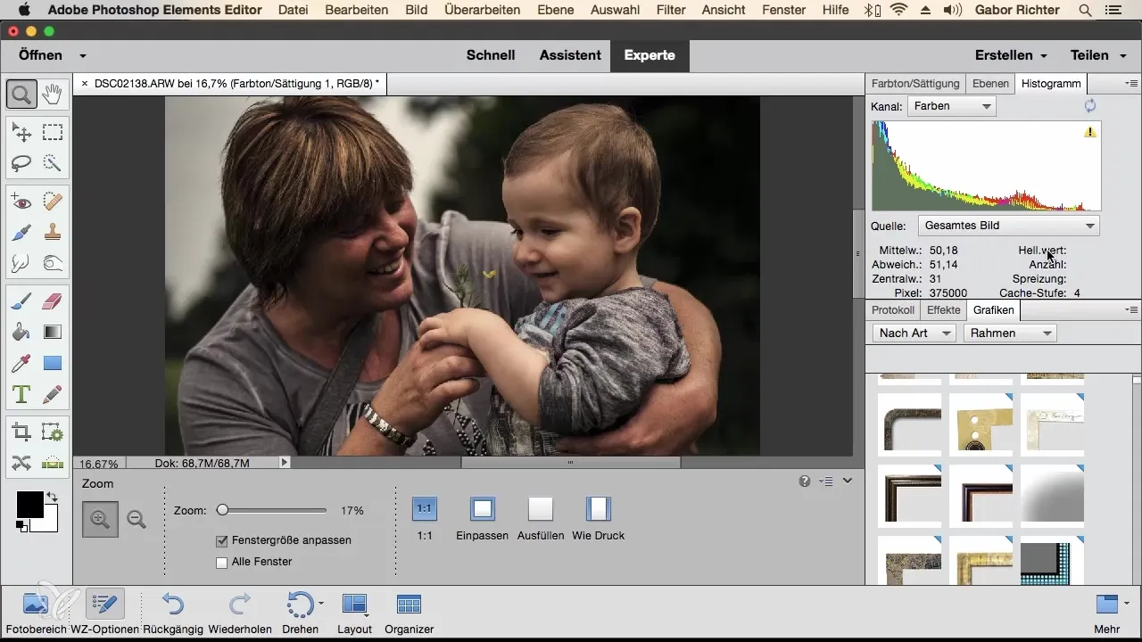 Effizienzsteigerung durch individuelle Arbeitsbereiche in Photoshop Elements