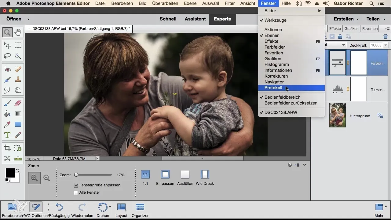 Effizienzsteigerung durch individuelle Arbeitsbereiche in Photoshop Elements