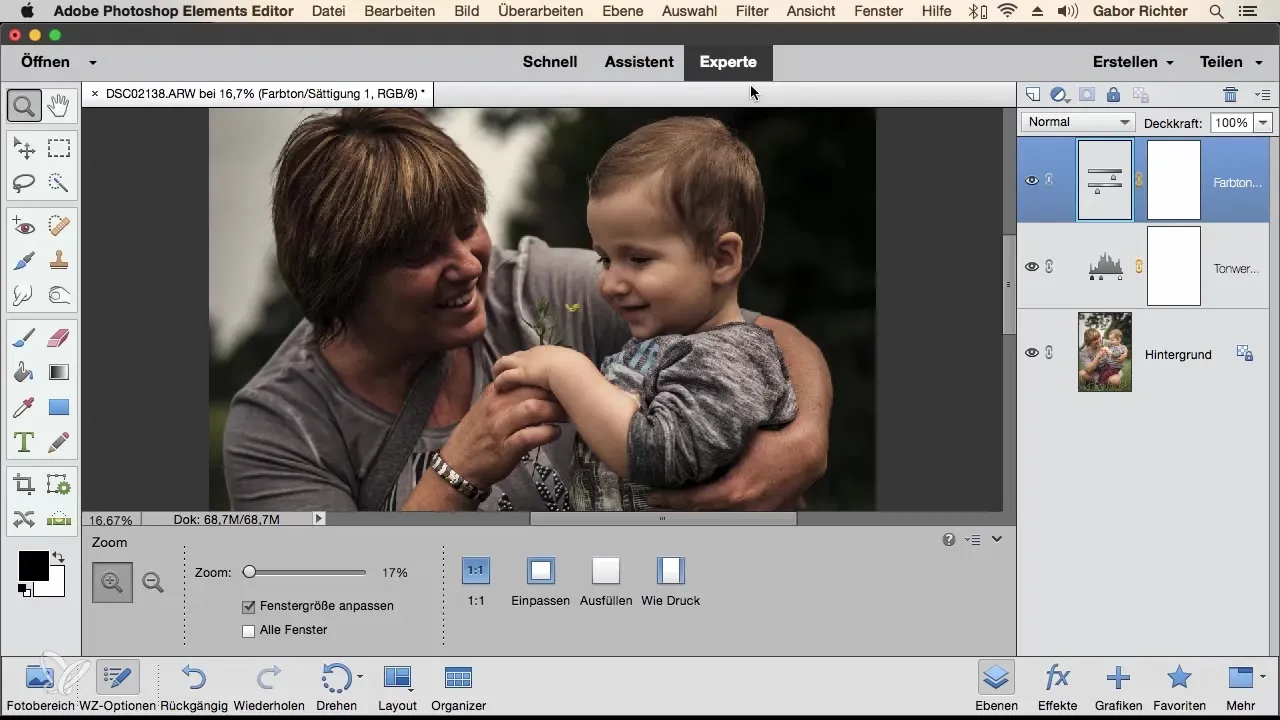 Effizienzsteigerung durch individuelle Arbeitsbereiche in Photoshop Elements