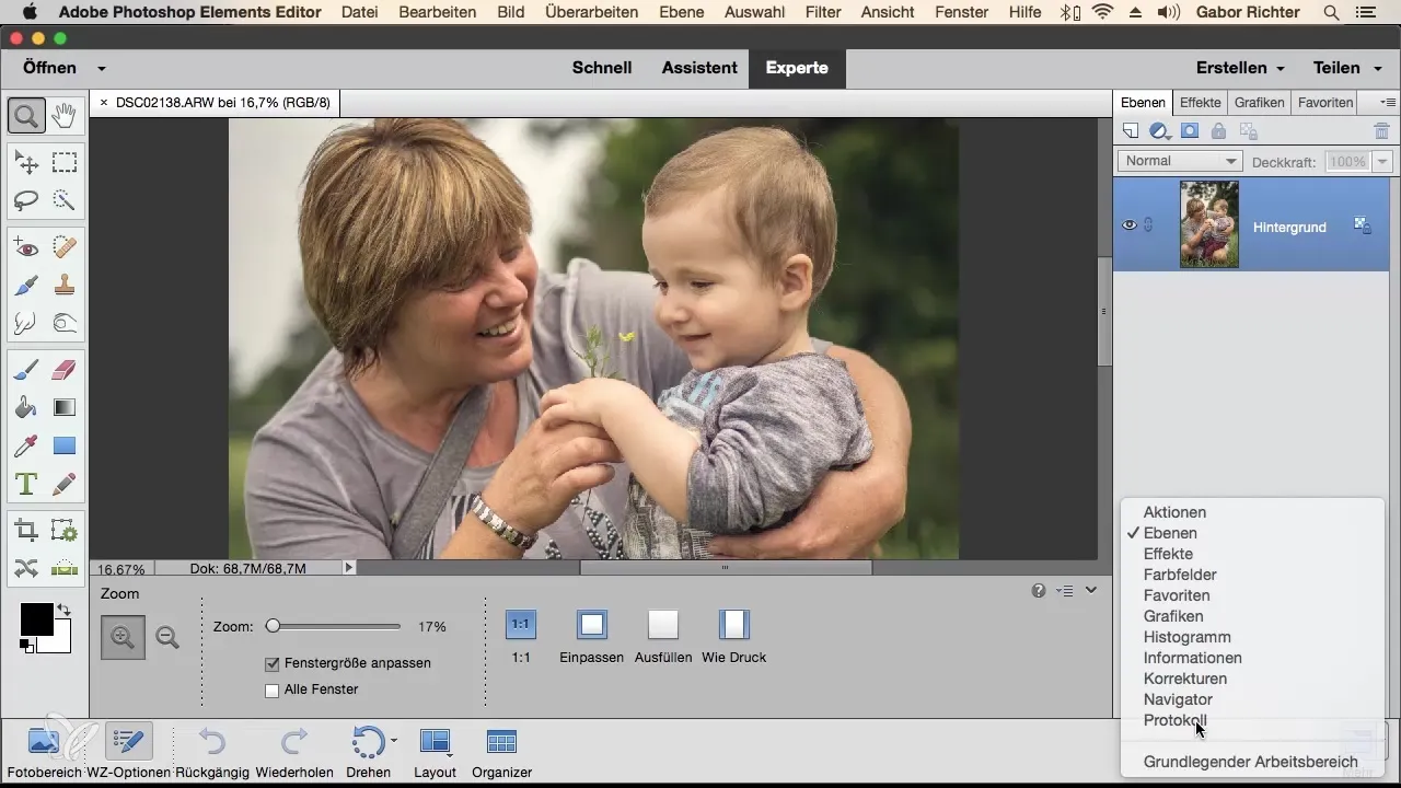 Effizienzsteigerung durch individuelle Arbeitsbereiche in Photoshop Elements