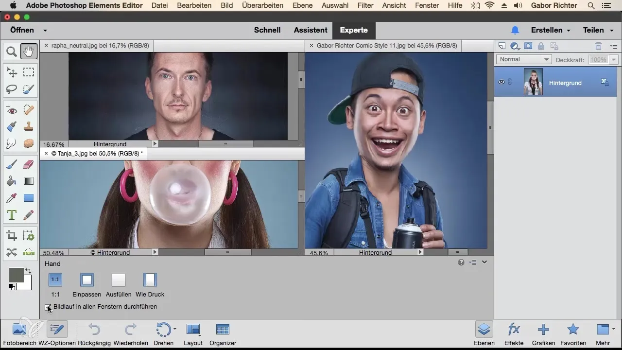 Photoshop Elements: Mehrere Motive auf einer Arbeitsfläche bearbeiten Photoshop Elements: Mehrere Motive auf einer Arbeitsfläche bearbeiten