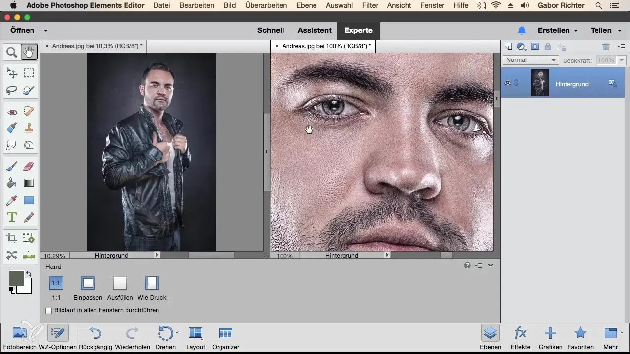 Dupliziere Fenster in Photoshop Elements für effiziente Bildbearbeitung