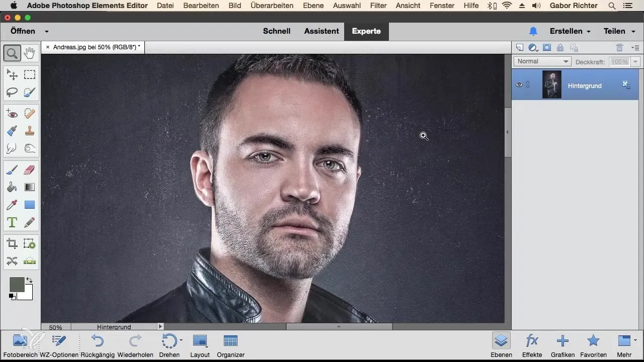 Dupliziere Fenster in Photoshop Elements für effiziente Bildbearbeitung