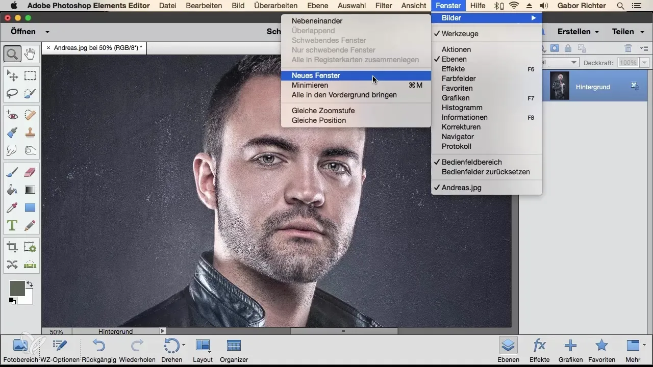 Dupliziere Fenster in Photoshop Elements für effiziente Bildbearbeitung