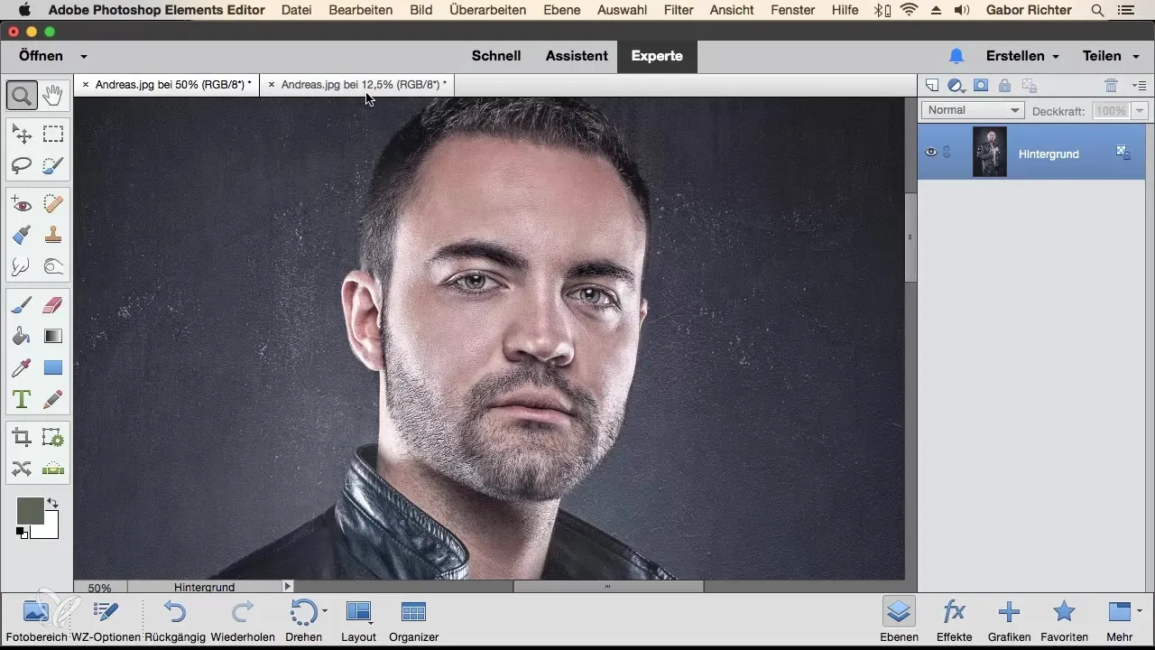 Dupliziere Fenster in Photoshop Elements für effiziente Bildbearbeitung