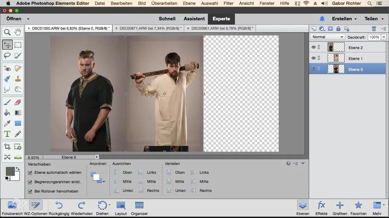 Bilder in Photoshop Elements kombinieren