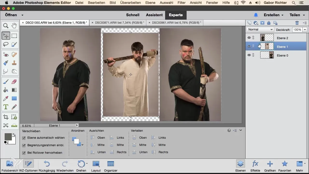 Bilder in Photoshop Elements kombinieren