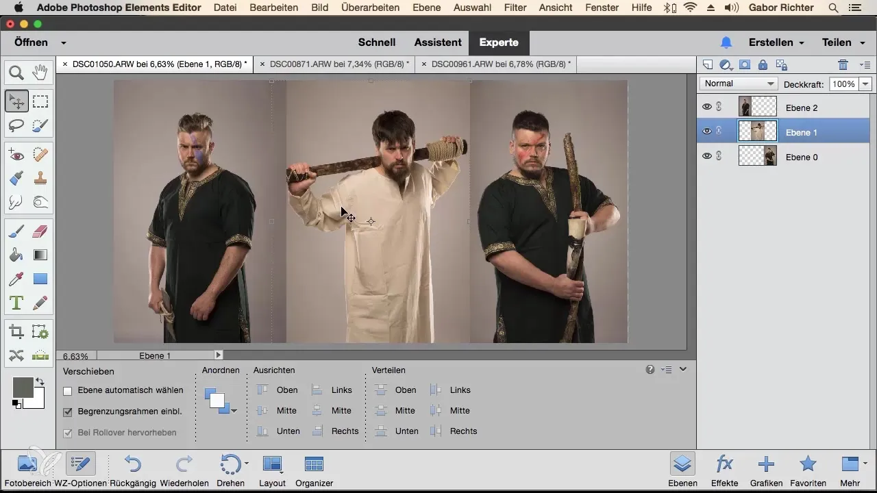 Bilder in Photoshop Elements kombinieren