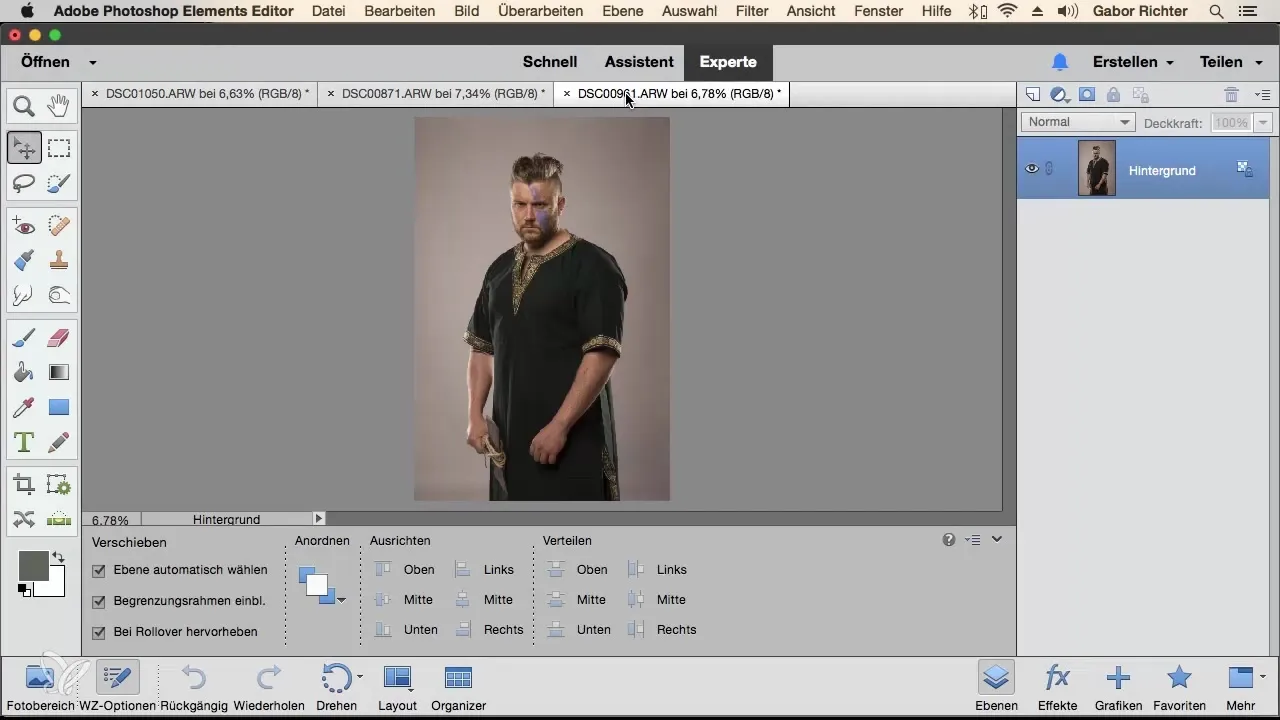 Bilder in Photoshop Elements kombinieren