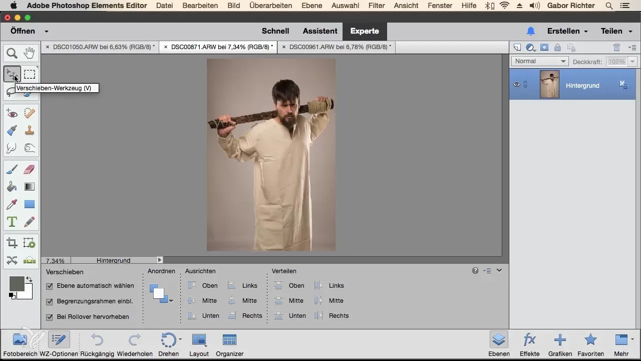 Bilder in Photoshop Elements kombinieren