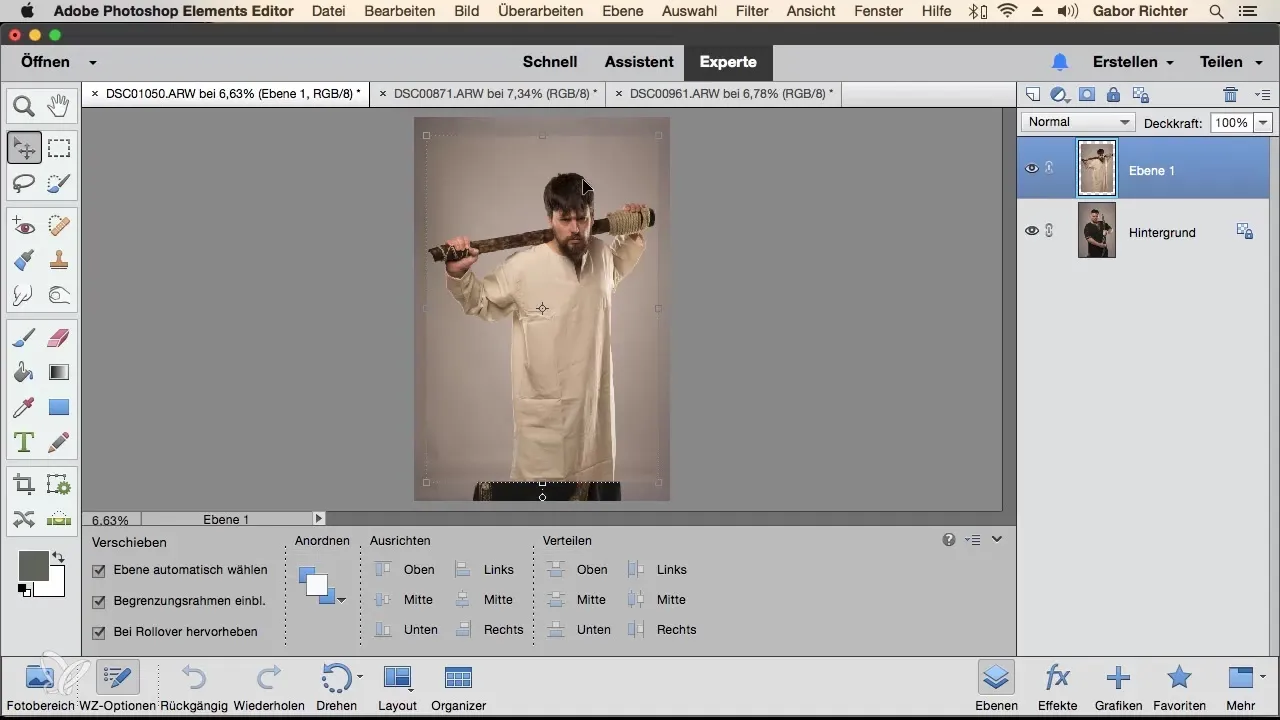 Bilder in Photoshop Elements kombinieren
