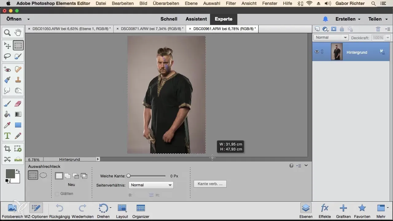 Bilder in Photoshop Elements kombinieren