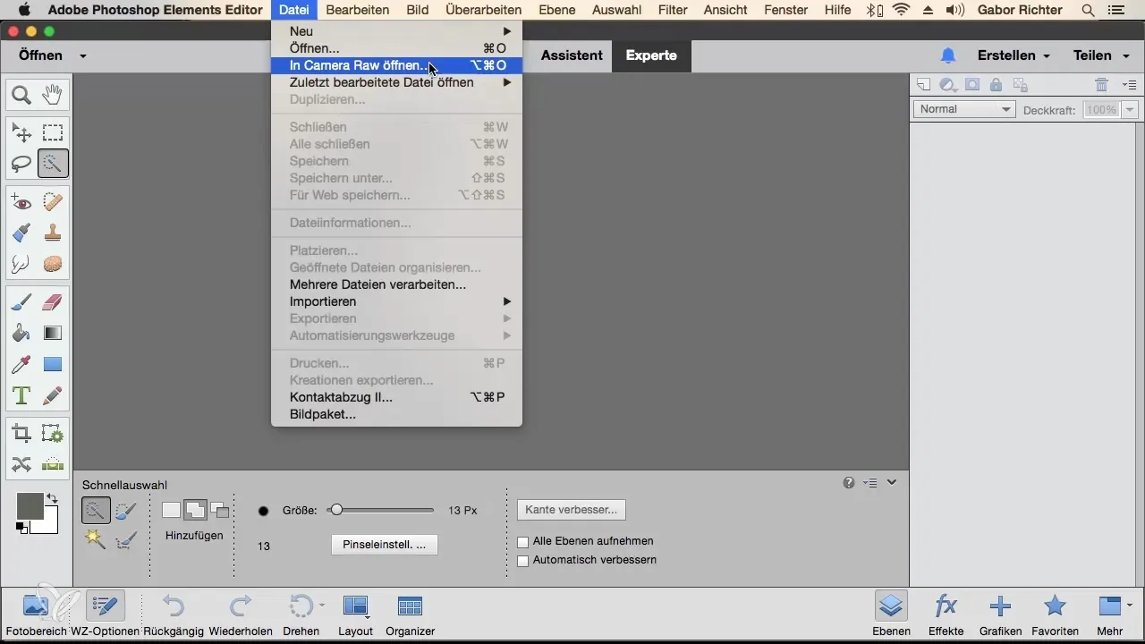 Effectively opening RAW files in Photoshop Elements