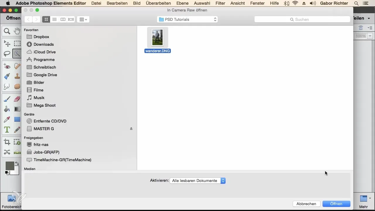 Effectively opening RAW files in Photoshop Elements