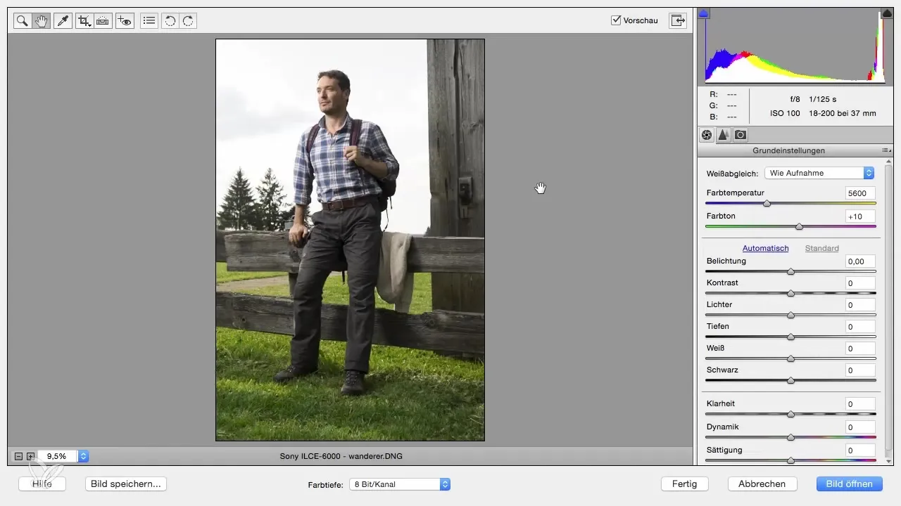 RAW-Bilder entwickeln mit Photoshop Elements