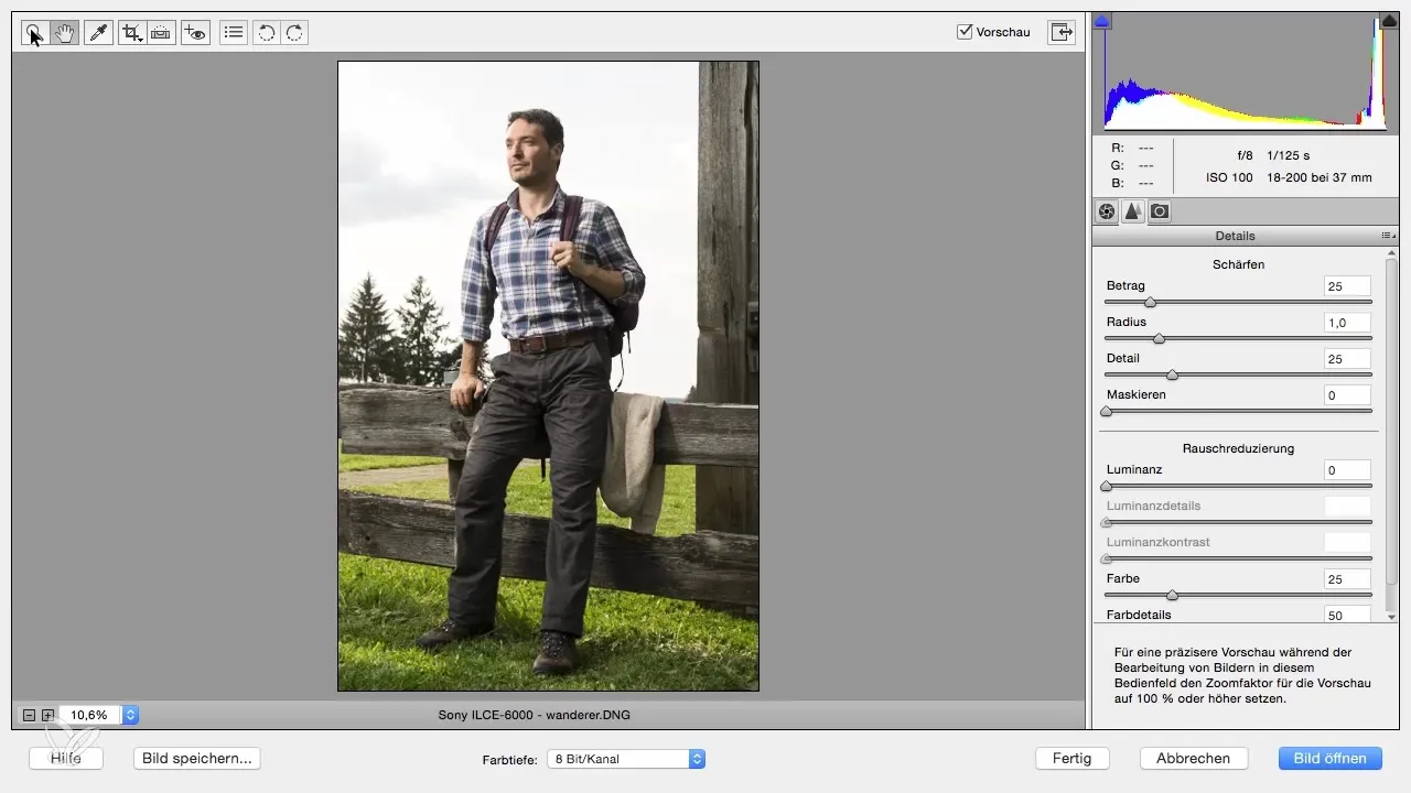 RAW-Bilder entwickeln mit Photoshop Elements