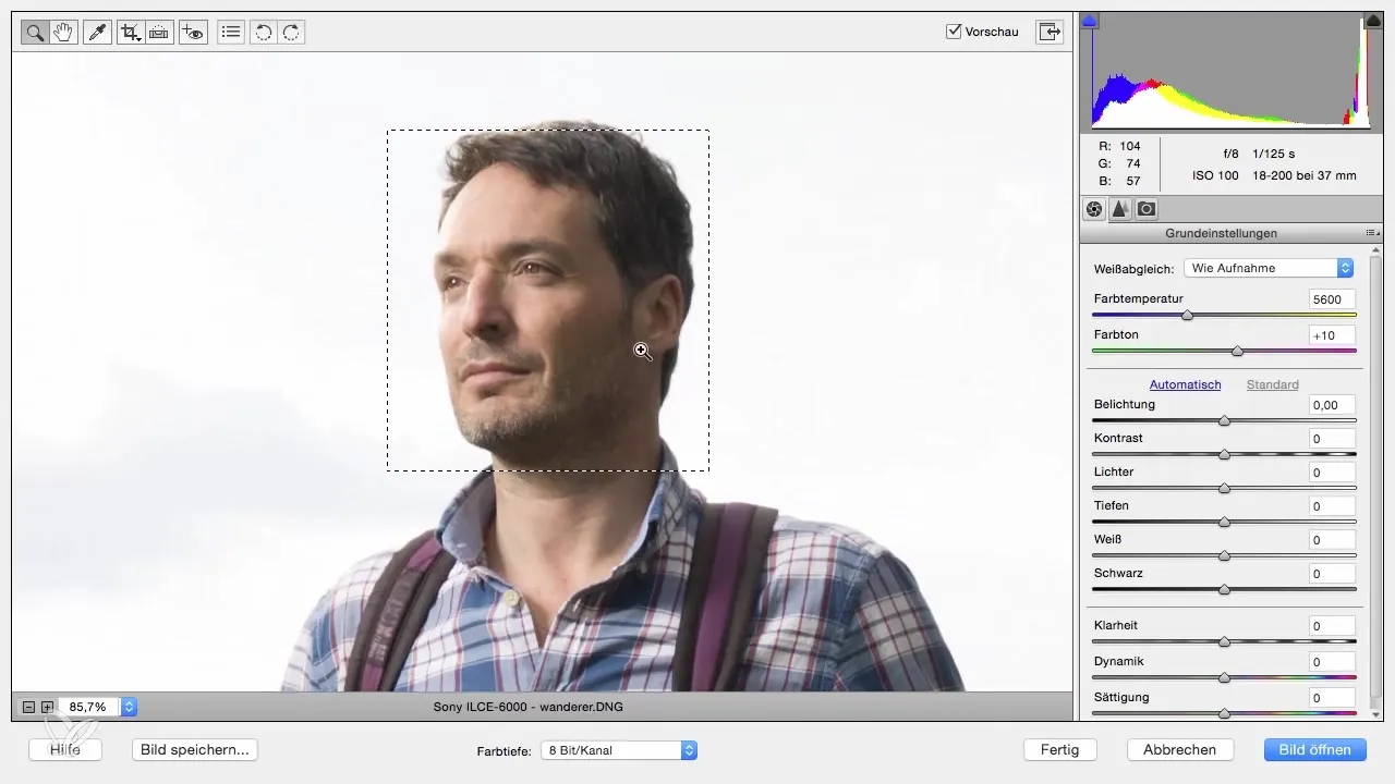 RAW-Bilder entwickeln mit Photoshop Elements