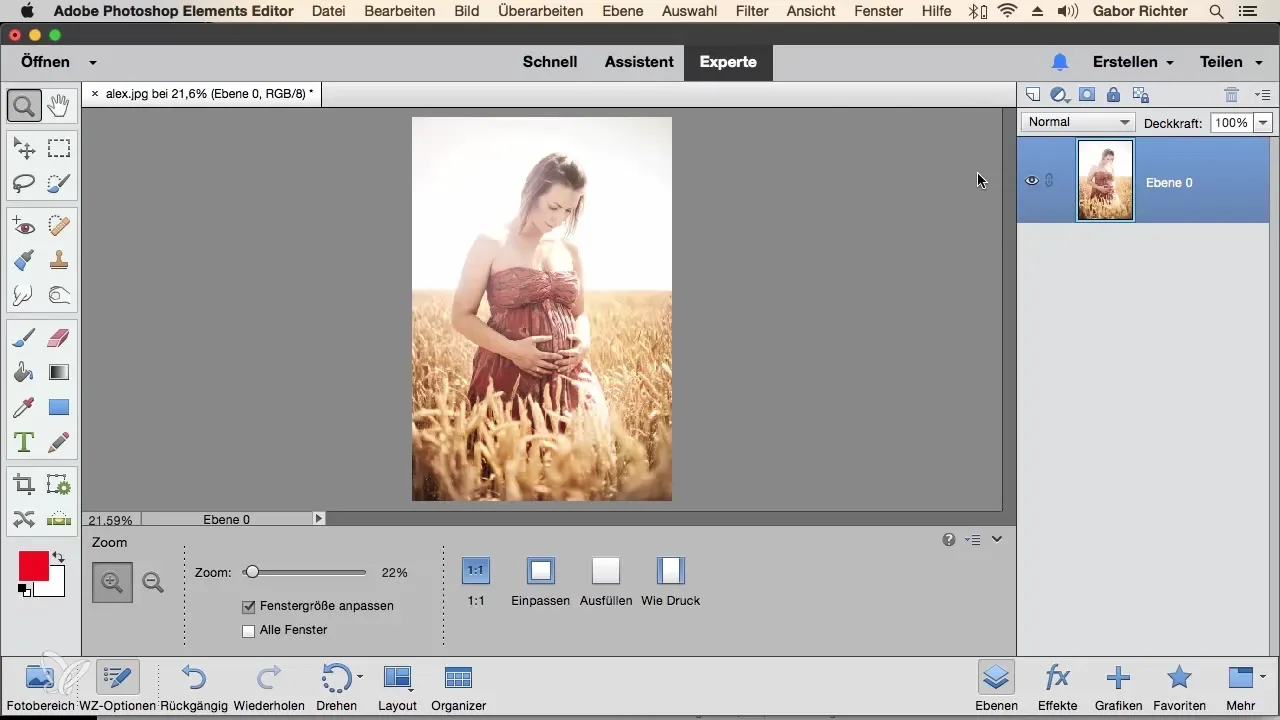 Ebenen benennen in Photoshop Elements – So behältst du den Überblick