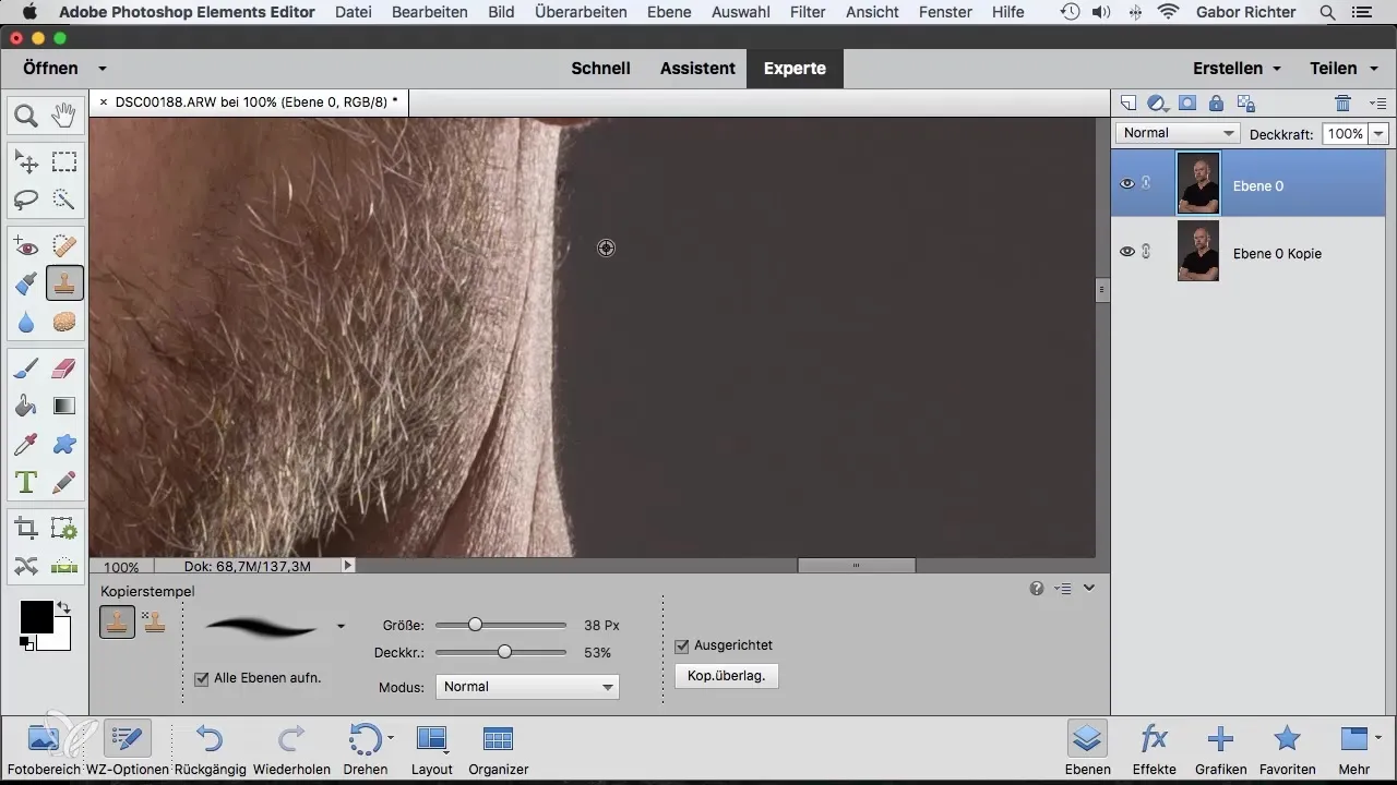 Retusche leicht gemacht: Bereichsreparatur-Pinsel in Photoshop Elements Retusche leicht gemacht: Bereichsreparatur-Pinsel in Photoshop Elements