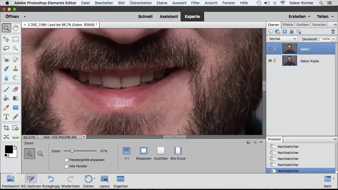 Abwedler und Brenner in Photoshop Elements gezielt einsetzen