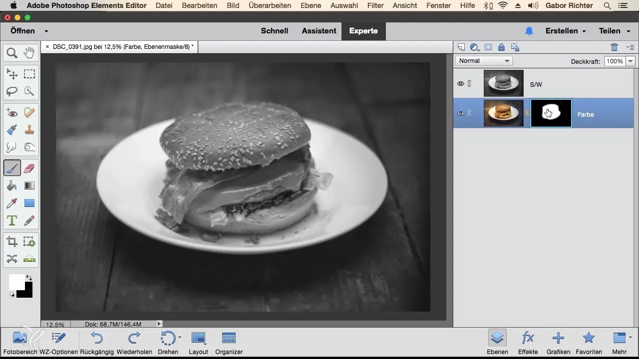 Mastering Masking Techniques in Photoshop Elements