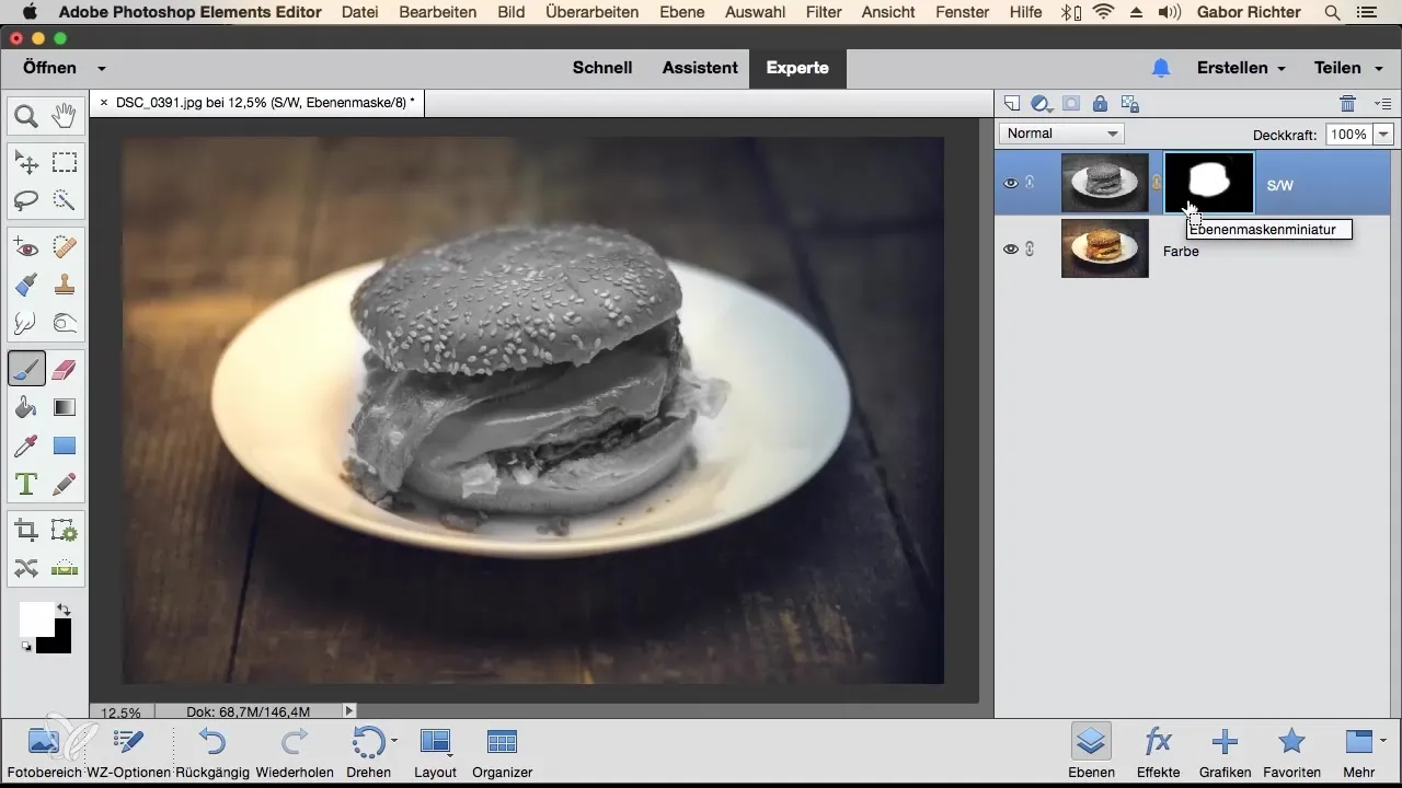 Mastering Masking Techniques in Photoshop Elements