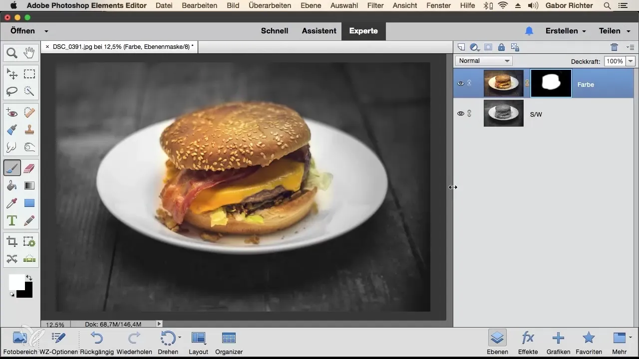 Mastering Masking Techniques in Photoshop Elements