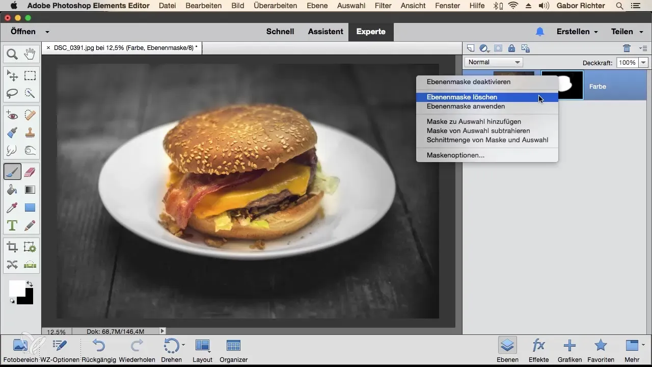Mastering Masking Techniques in Photoshop Elements