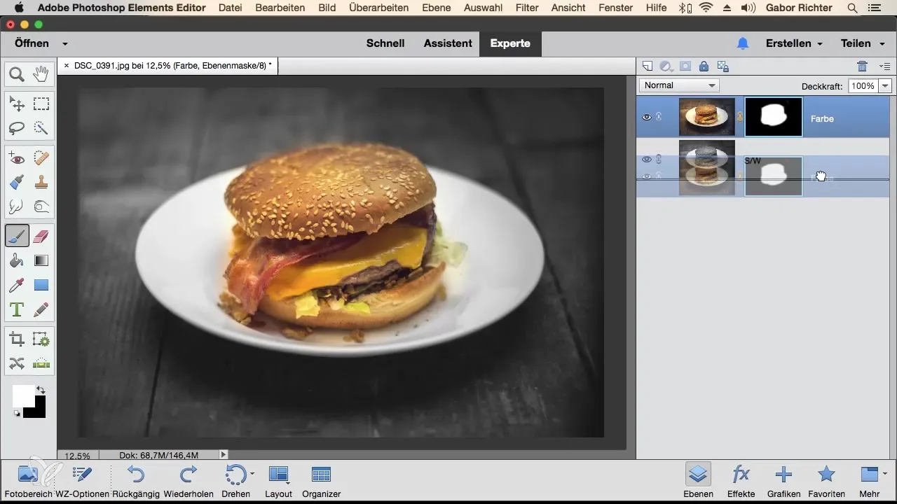 Mastering Masking Techniques in Photoshop Elements