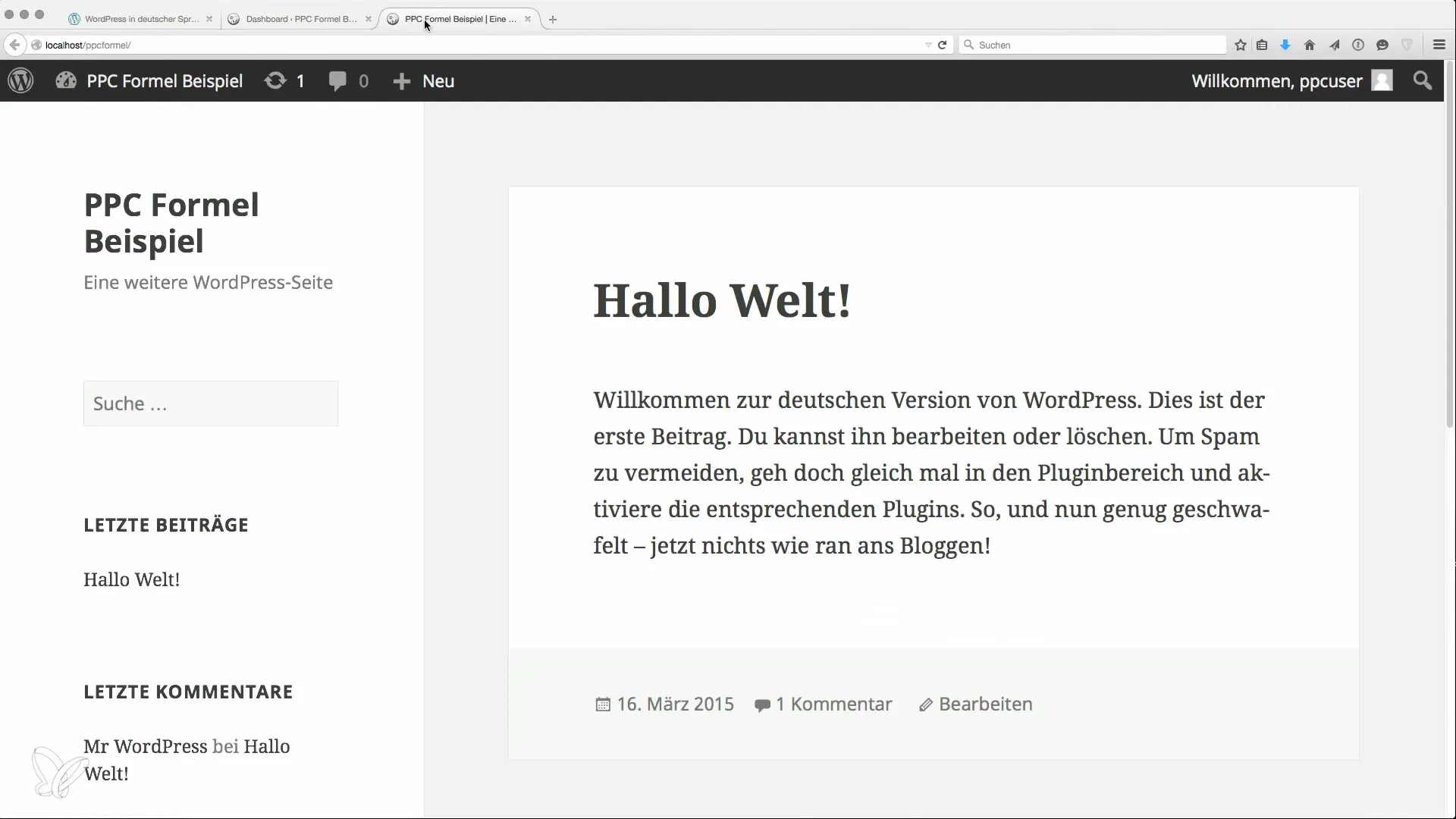 WordPress effektiv installieren für Nischenseiten