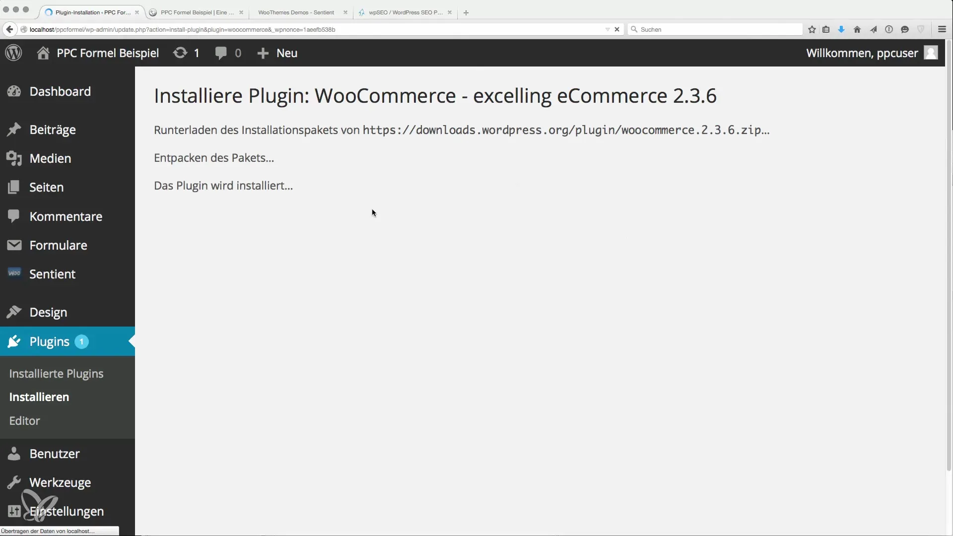Wichtige Plugins für AdSense und Monetarisierung