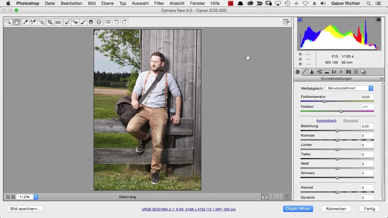 RAW-Fotobearbeitung in Photoshop Schritt-für-Schritt